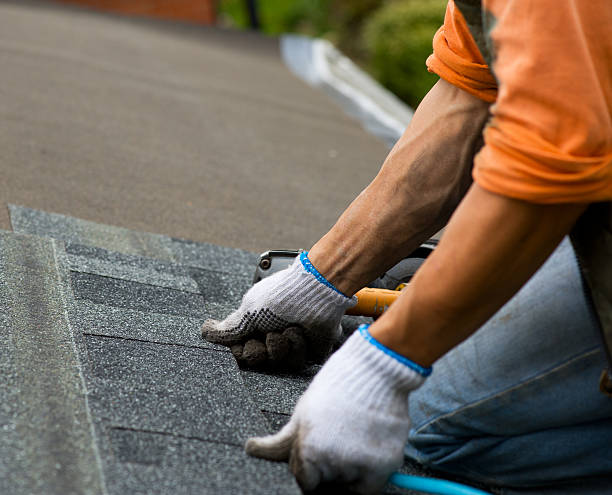 Best Roof Maintenance Services  in Tremont, IL