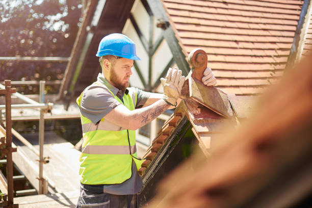 Best Roof Gutter Cleaning  in Tremont, IL