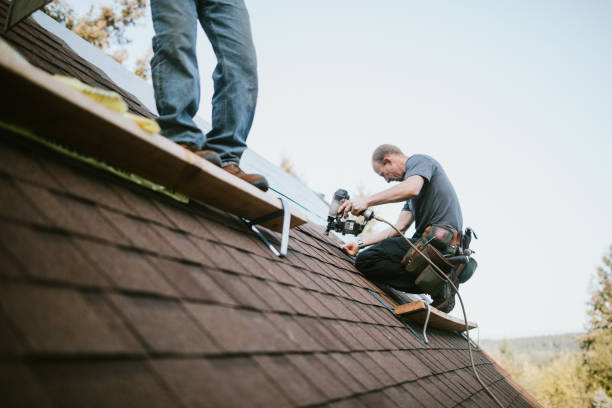 Gutter Installation and Roofing in Tremont, IL